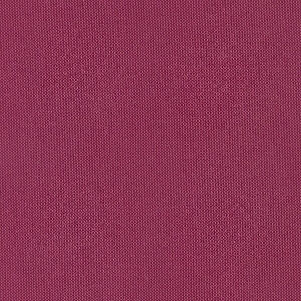 Rasberry STX-8816