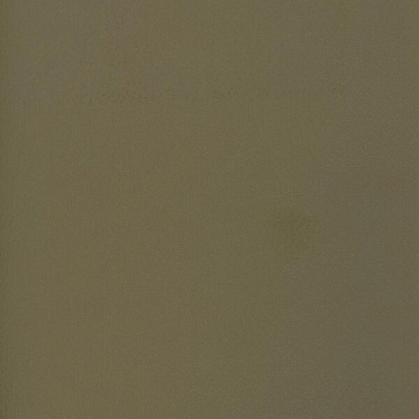 Eucalyptus PAT-8626