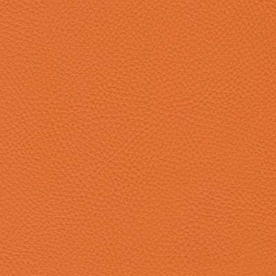 Papaya BEL-3306
