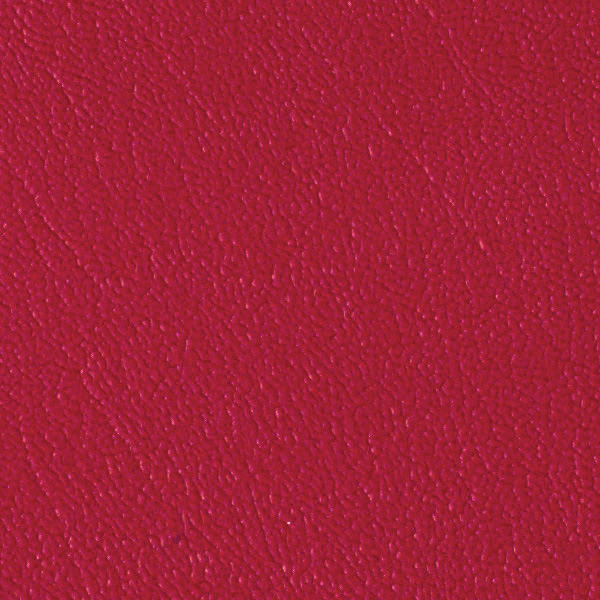 Berry 518761