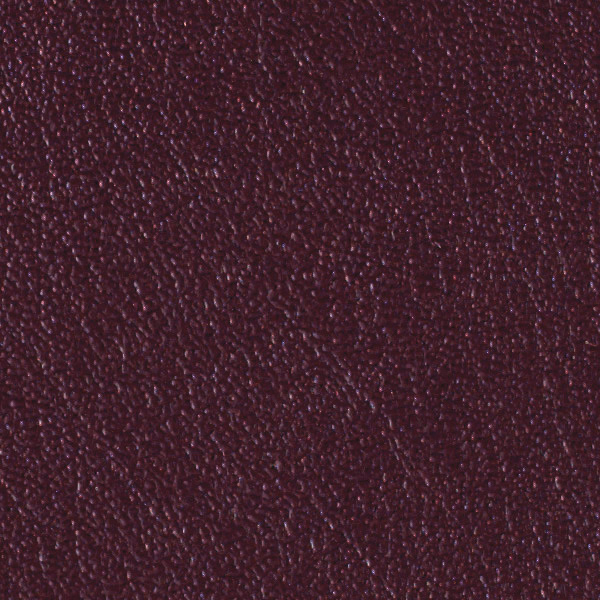 Blackplum 517421