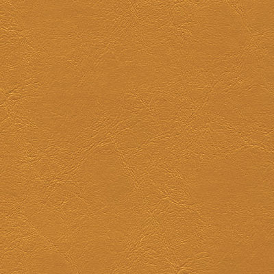 Bonanza Gold jet-002