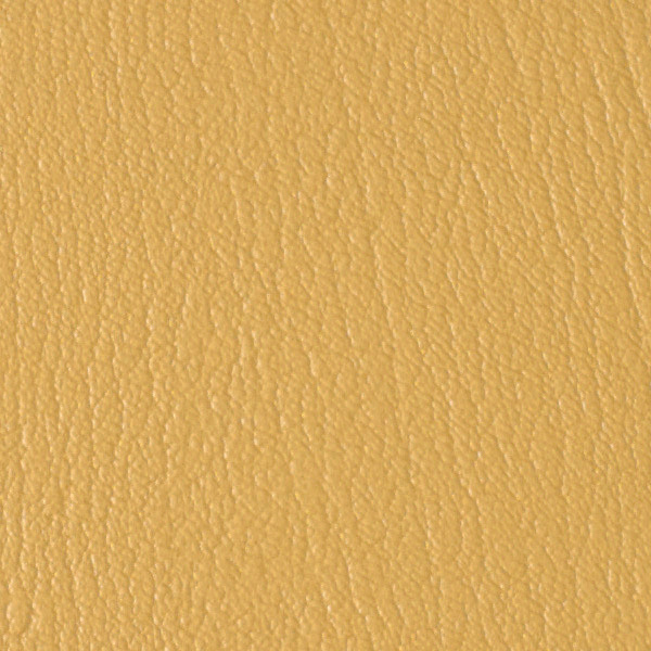Camel Back 518423
