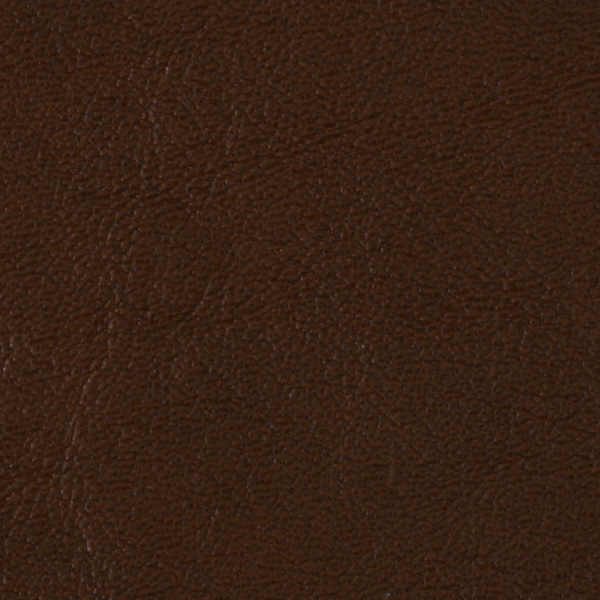 Chestnut 518756