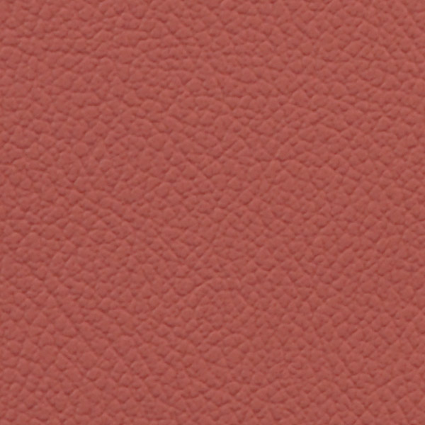 Coral Reef 514979