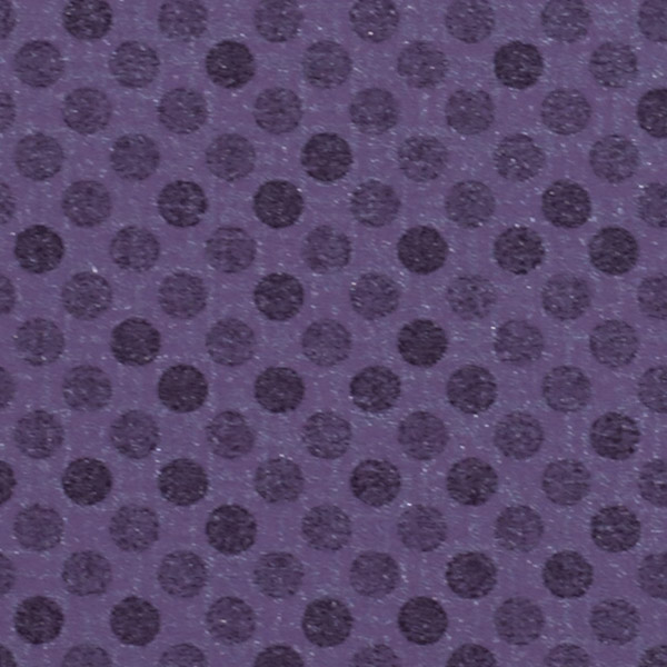 Crocus 514779