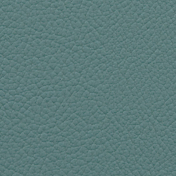 Fern 514975