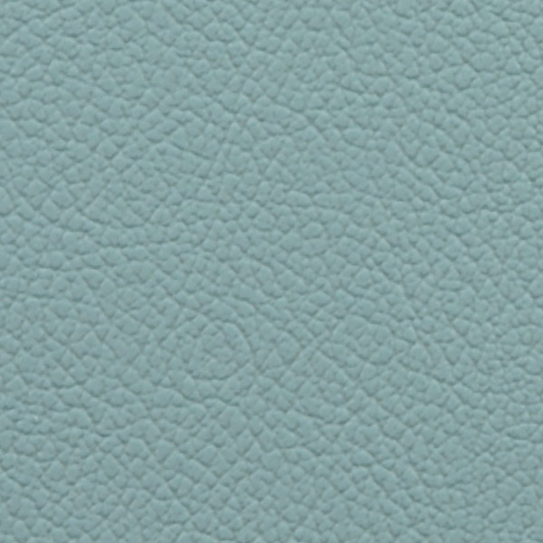 Glacier 514980