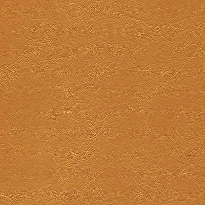 Gold Rush jet-011
