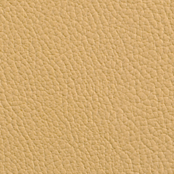 Honey 520966