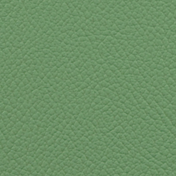 Keylime 514982