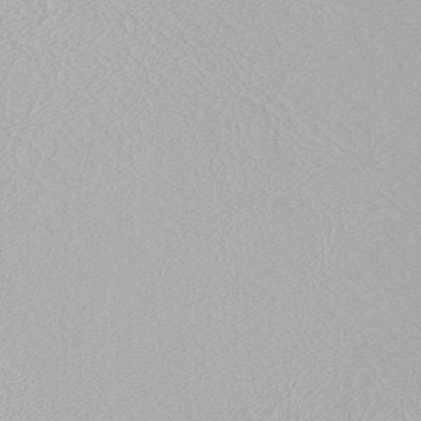 Light Gray 514113