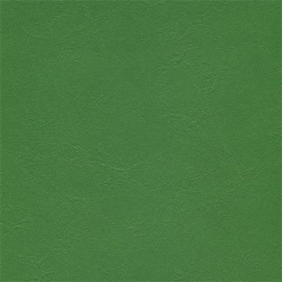 Lime Green jet-015