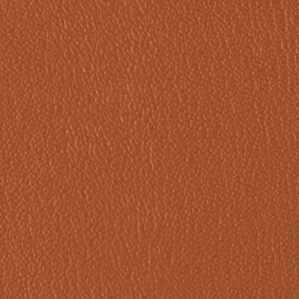 Manzanita 521374
