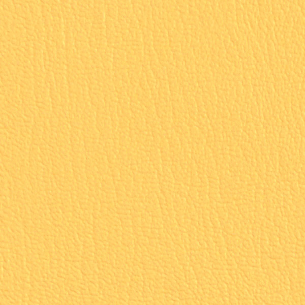 Marigold 523426