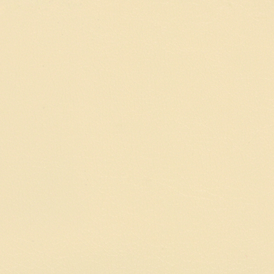 Parchment NAV-9894