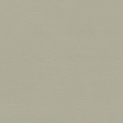 Stone NAV-9896