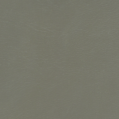 Pebble NAV-9897