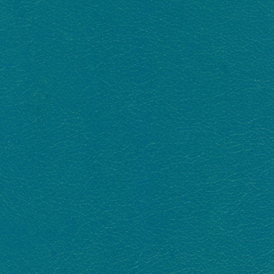 Mermaid NAV-9900