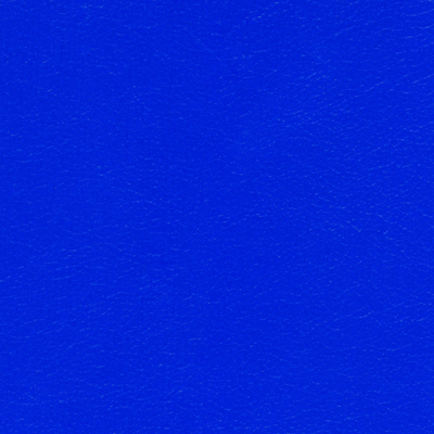 Blue Ribbon NAV-9901