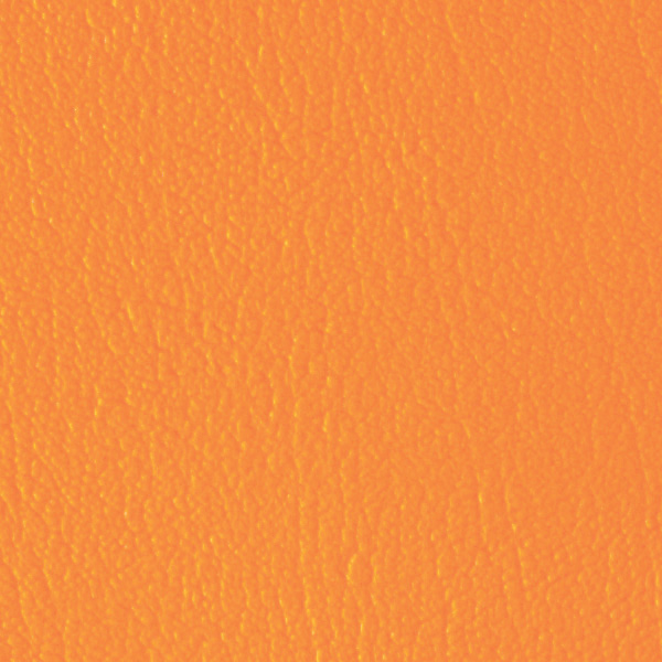 Nasturtium 517921