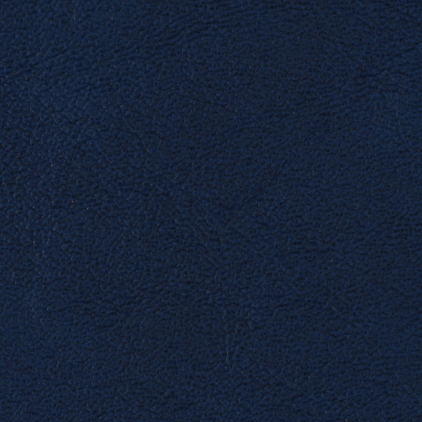 Navy 519029