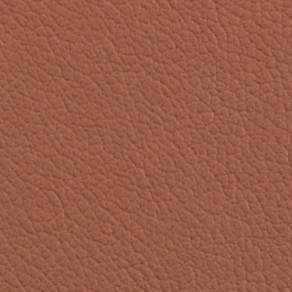 Nutmeg 514732