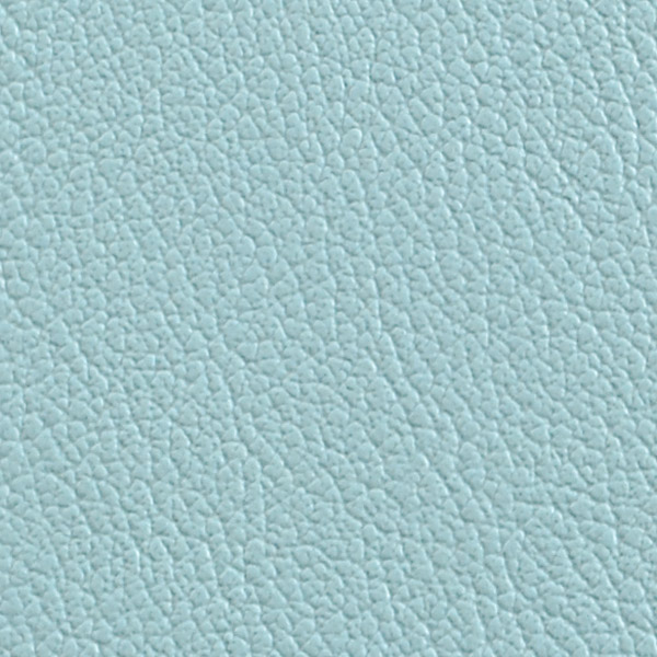 Pale Aqua 515558