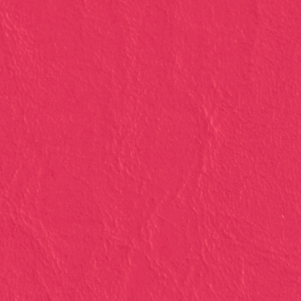 Party Pink 517589