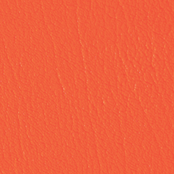 Persimmon 518791
