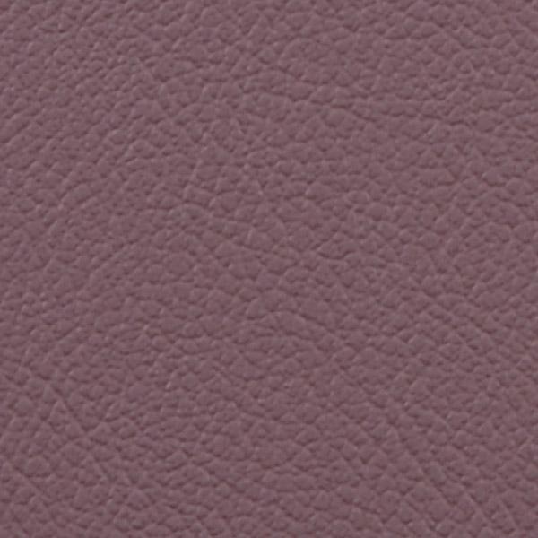 Plum Dusk 514983