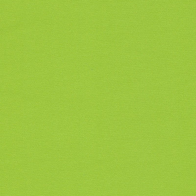 Kiwi 077720