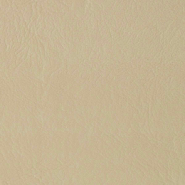Sand Dollar (Mushroom) 513903