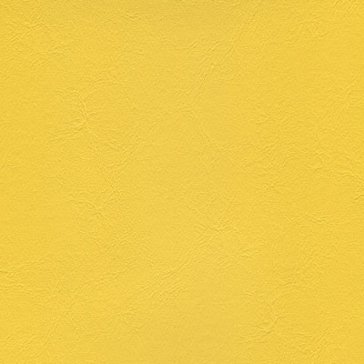 Sunshine Yellow jet-025