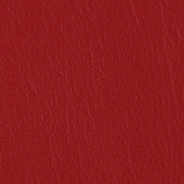 Tomato 518800