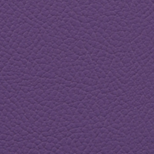 Wisteria 515033