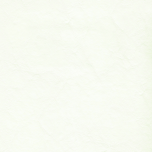 Brilliant White ZAN-3103