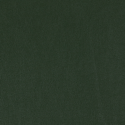 Bottle Green-WSL-003