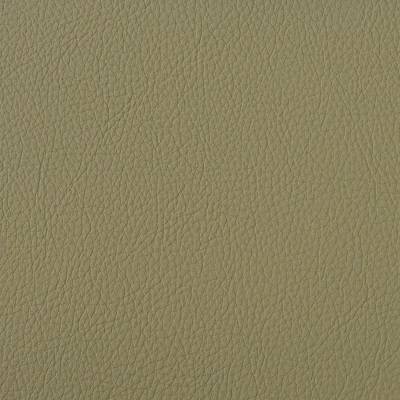 CELERY SCL-013