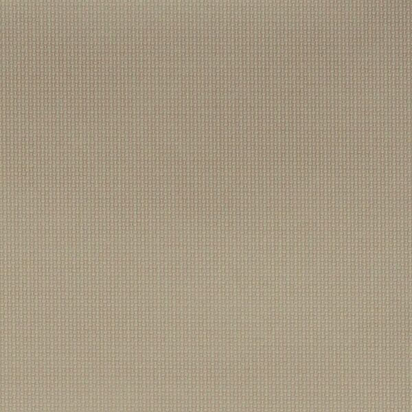 Cottonseed WHX-009