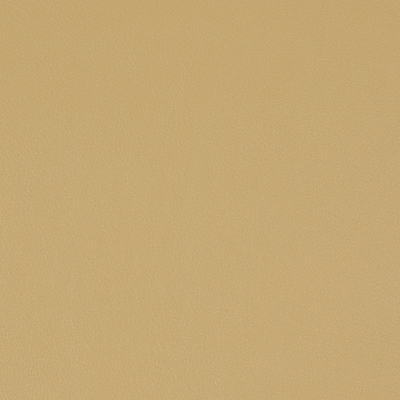 Custard-WSL-008