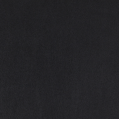 Ebony-WSL-009