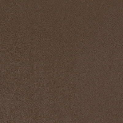 Mocha-WSL-014