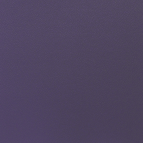 NEW PURPLE PES-042