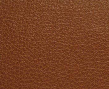Nutmeg-TCA-008