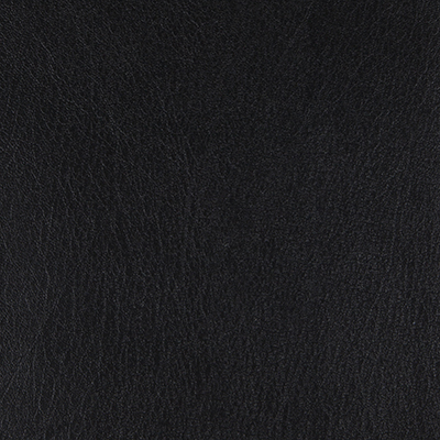 Onyx-WHM-010