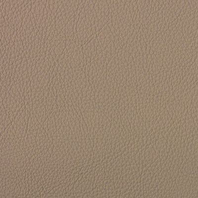 PAPYRUS SCL-029