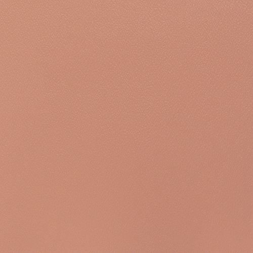 PEACH PES-049