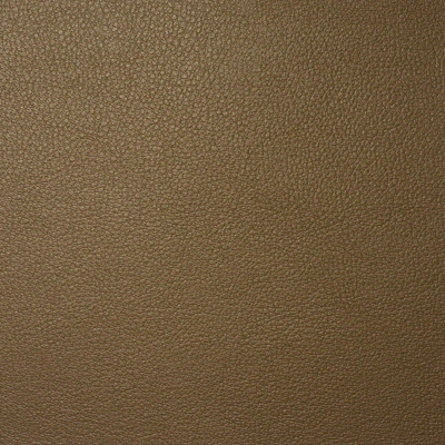 BADGER (TPE-101)