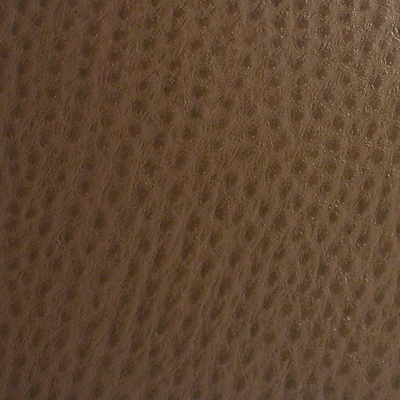 CHESTNUT TPH-102